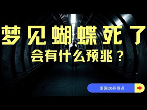 夢到蝴蝶停在臉上|周公解夢全書